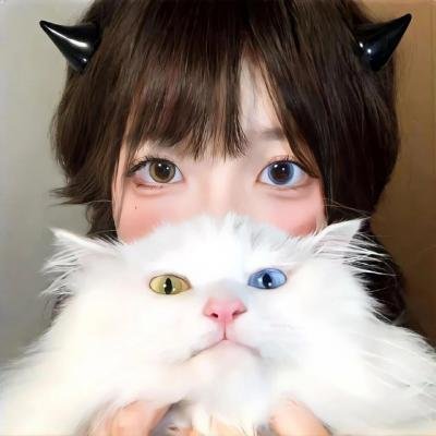 银翼情人